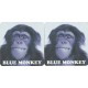 Blue Monkey Brewery No.002