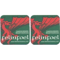 Felinfoel No.022