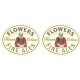 Flowers (Whitbread) No.025