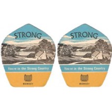 Strongs Romsey Brewery No.034